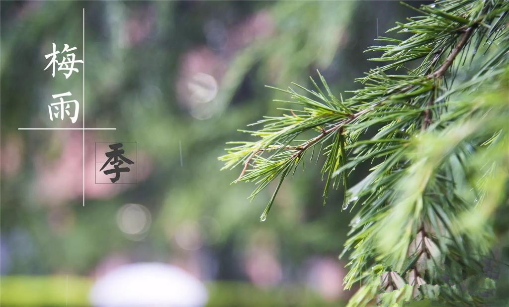 雨季到來，涂料施工需注意哪些問題